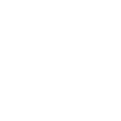 arnimoproduction.com
